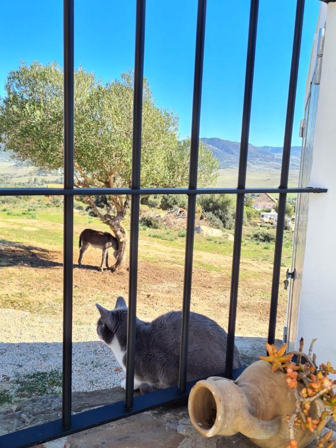 Rancho Blanco Tarifa La Pena Villa Eksteriør billede